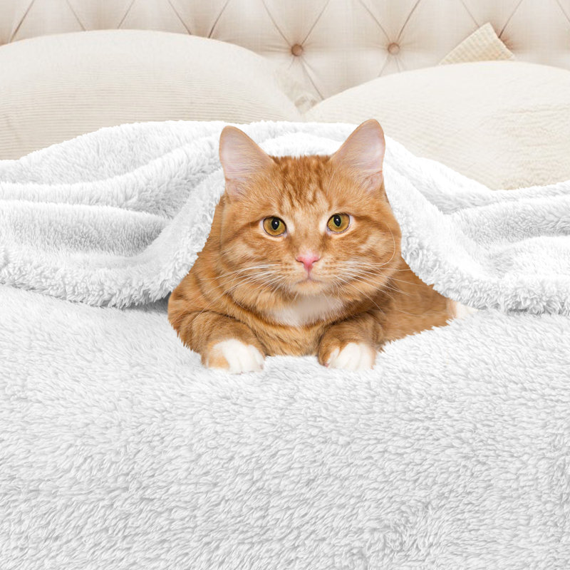 Superior Solid Polyester Reversible All-Season Fleece Throws Blanket, White, Full/Double/Queen