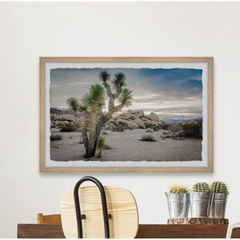 Lone Joshua Tree - Single Picture Frame Print, 20cm H x 30cm W x 3.81cm D