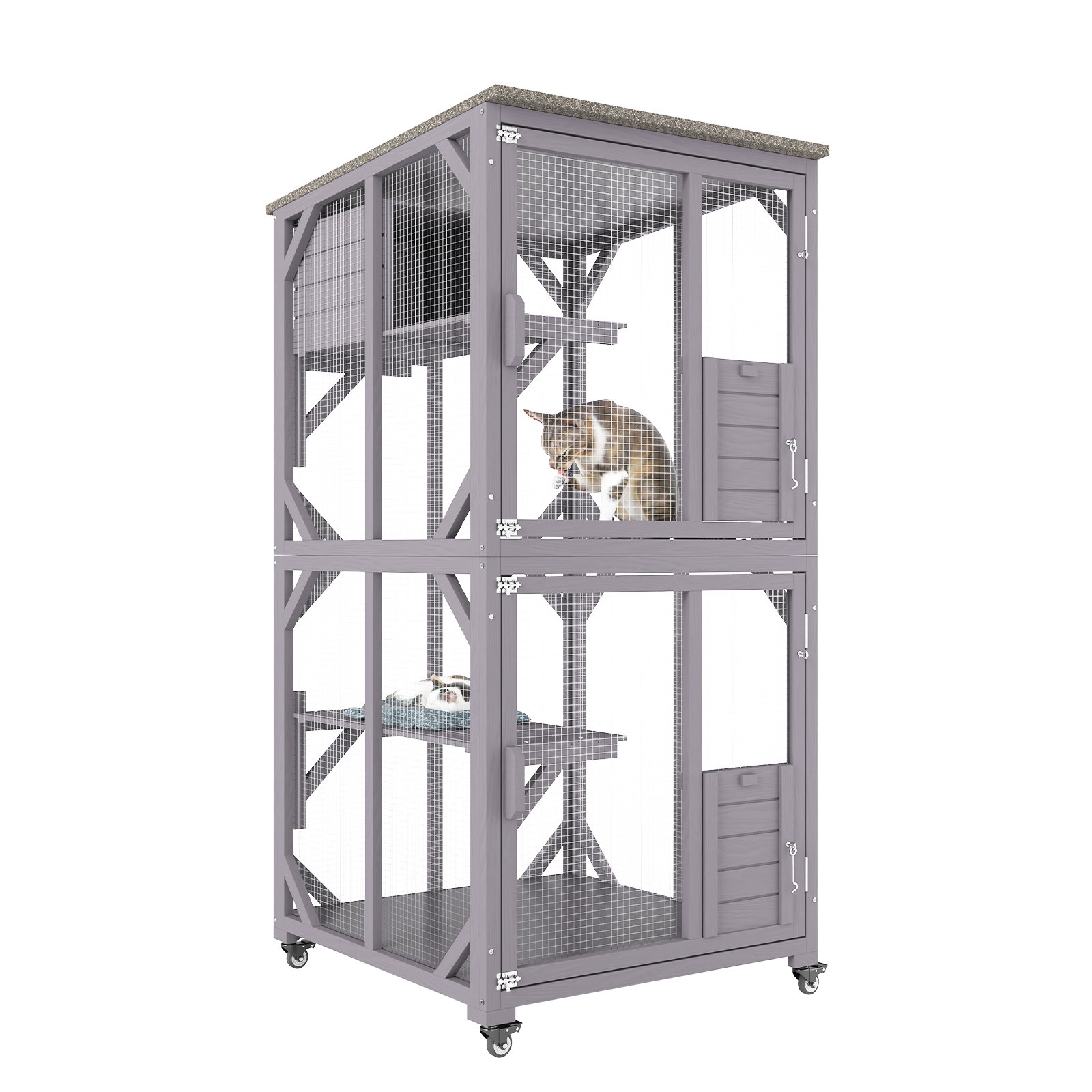 Protect a best sale pet catio