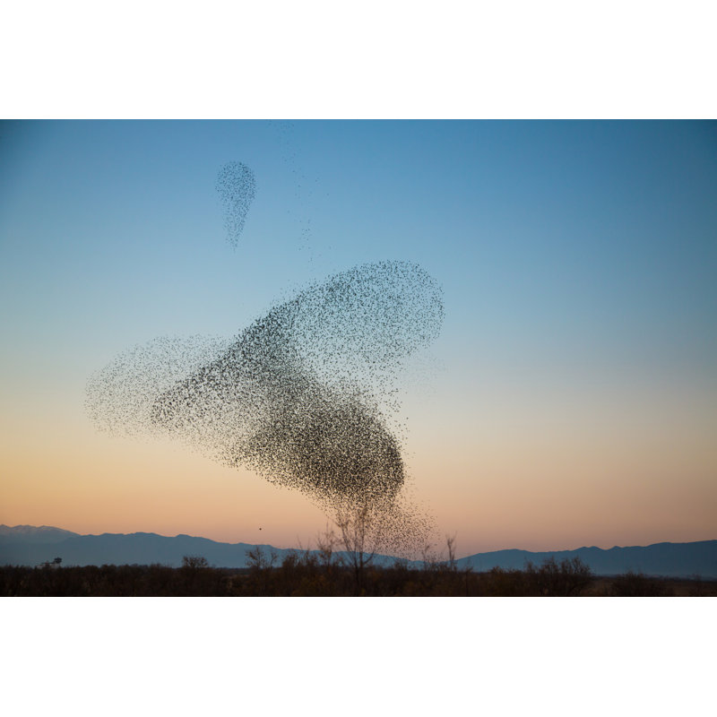 «Early Evening» par Julieannebirch, H 8 po x l 12 po