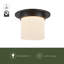 Mineral 8-in Brass Flush Mount-431977228-431977217