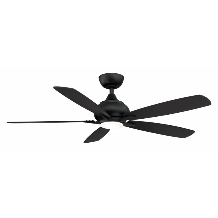 Doren 52'' Ceiling Fan with LED Lights