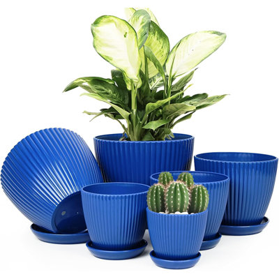 6-pack Indoor Plant Pots With Saucers Ebern Designs
