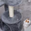 Grady 254cm H Cat Tree