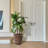 Ceramic Flowerpot-1228868512