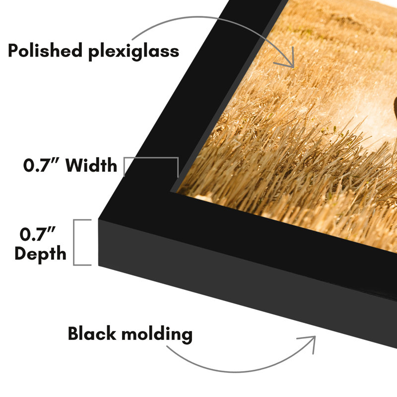 Americanflat Picture Frame - Thin Border Poster Frame with Plexiglass for Wall Display, 12" x 20", Black