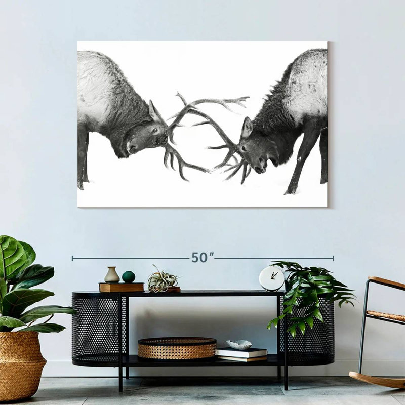 Brampt Fighting Elks, 32" H x 48" W