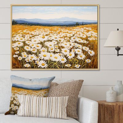 Symphonie de marguerites blanches sur le terrain