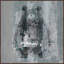« bear confusion », reproduction d’art sur toile encadrée-20746633