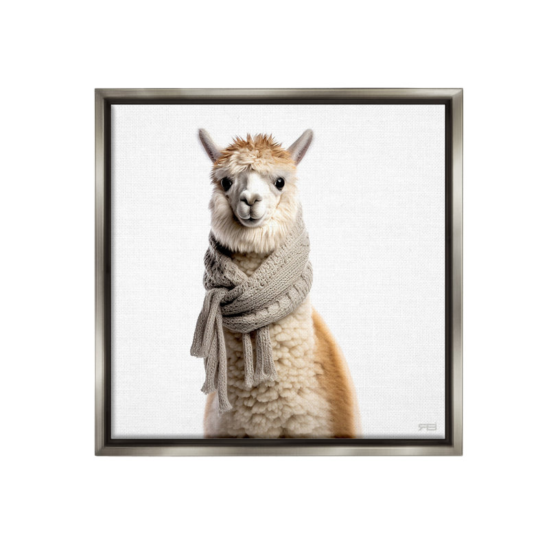 "Lama portant une écharpe" par RB sur toile, H 25 po x l 25 po, Cadre flottant gris lustré