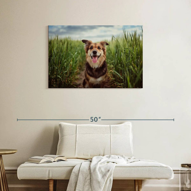 Brampt Dog In The Cornfield, 24" H x 36" W