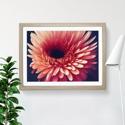 Inspiring Chrysanthemum Flower - Framed Print