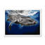 Portrait d'une baleine à bosse - Peinture sur toile-59756959-59783162