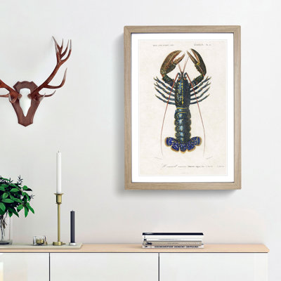 Crimson Crawfish by Charles D Orbigny - Framed Print