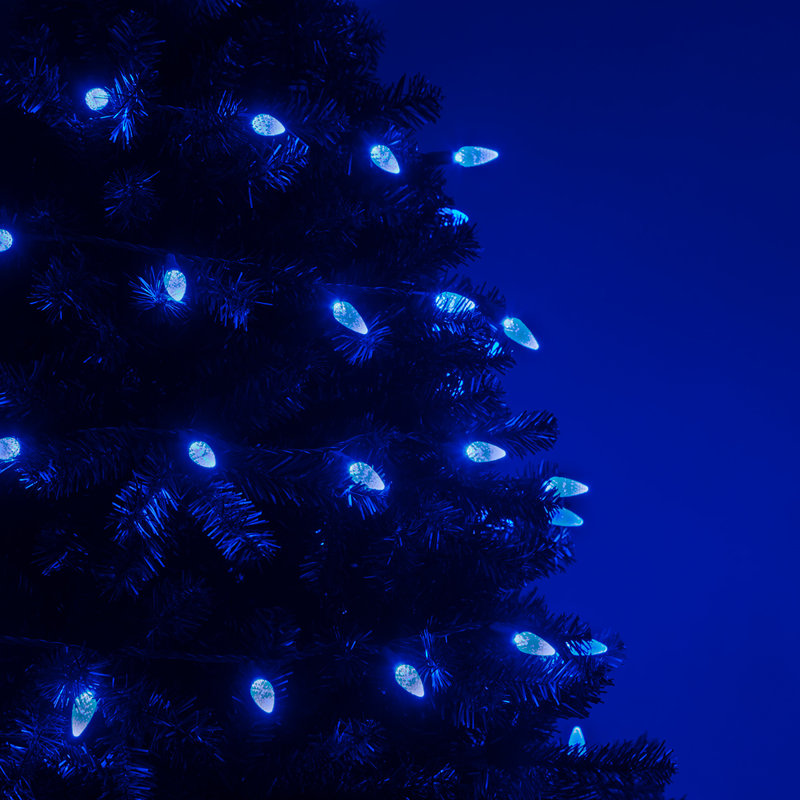 70 Light C6 LED Christmas String Lights, Blue