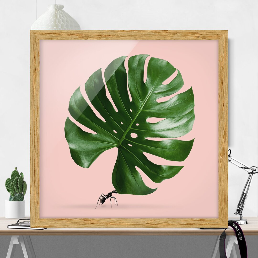 Gerahmtes Poster Ant mit Monstera Leaf von Jonas Loose