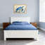 Tortue de mer-626149897-626149900-626149942