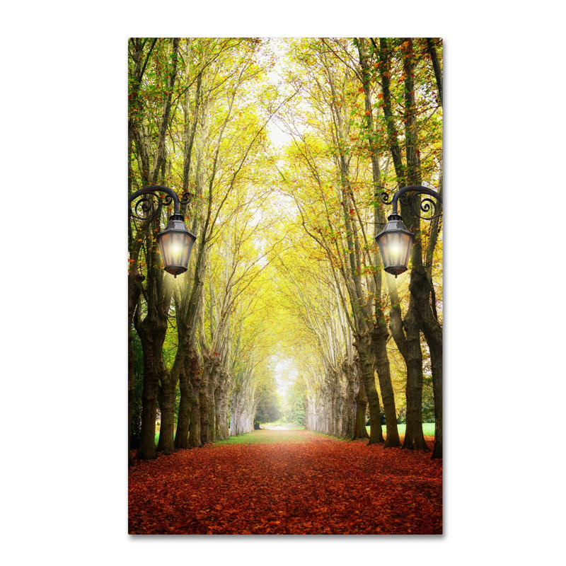 «Plane Tree Alley», reproduction de photo sur toile tendue, H 24 po x l 16 po x P 2 po