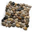 Carreaux de 12 po x 12 po à motif de cailloux de vin poli, carton de 11 (11 pieds carrés)-139980131