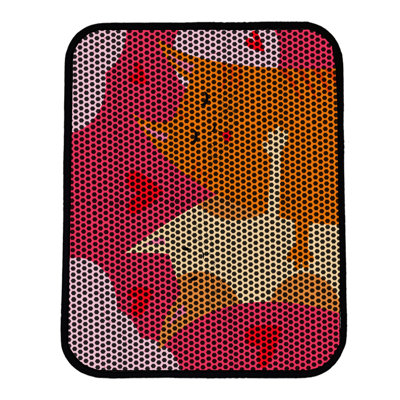 Cat Litter Mat