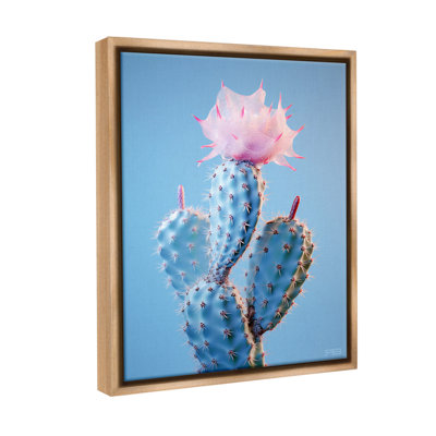 «Pink Budding Cactus Flowers» par RB sur