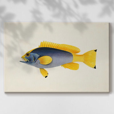 Toile tendue avec collection de poissons tropicaux