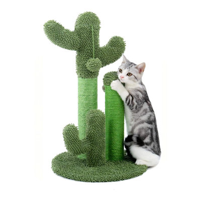 Arbre à chat Cactus