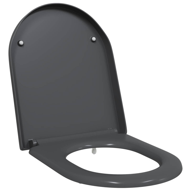 Grey Plastic Standard Adjustable Armrests Toilet Seat Oval, Anthracite