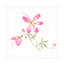 Bolognaise «Silk I» sur toile-98248405