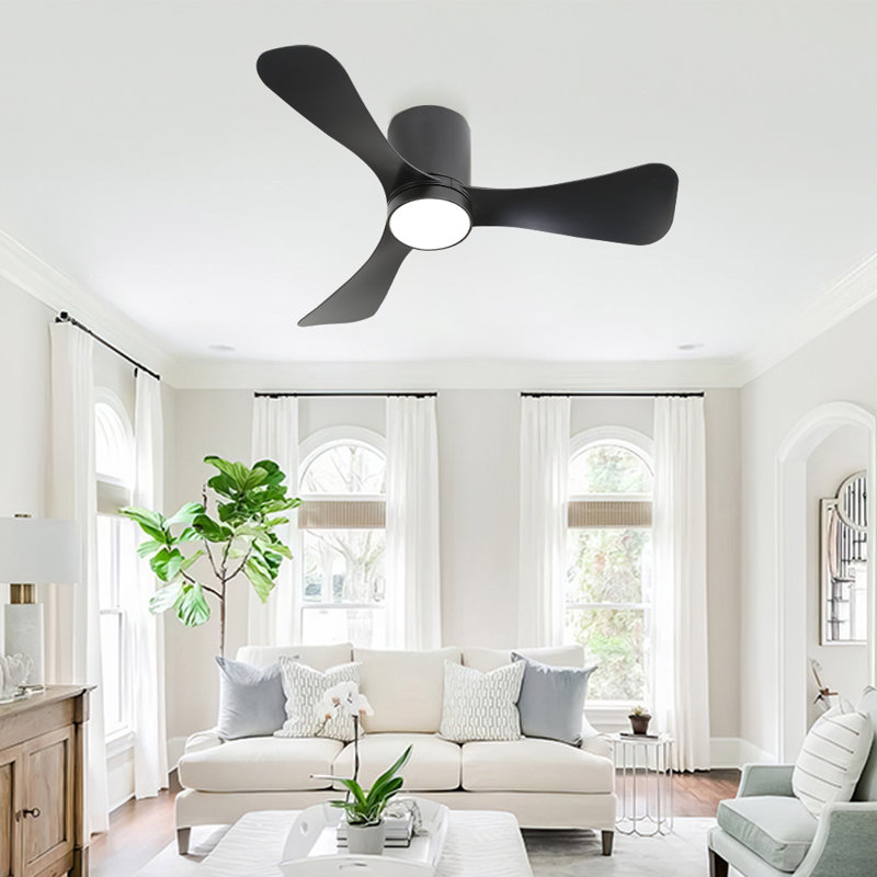 Apolino 42'' Ceiling Fan with LED Lights, Black, Black