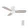 44" Deshonte 3 - Blade DC Motor Ceiling Fan with Remote Control