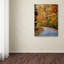 «Autumn Splash» de Vidur, reproduction de photo sur toile tendue-22069352