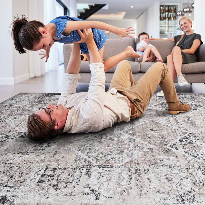 Loom & Collection 5X7 Area Rug, Cream/Anthracite, Stain Proof, Non-Shedding, For Home Office Fade , Living Room