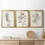 Neutral Botanical Study I - Ensemble de 3 impressions sur toile encadrées-1192051496-1192051500