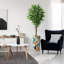 75 plantes-97992055