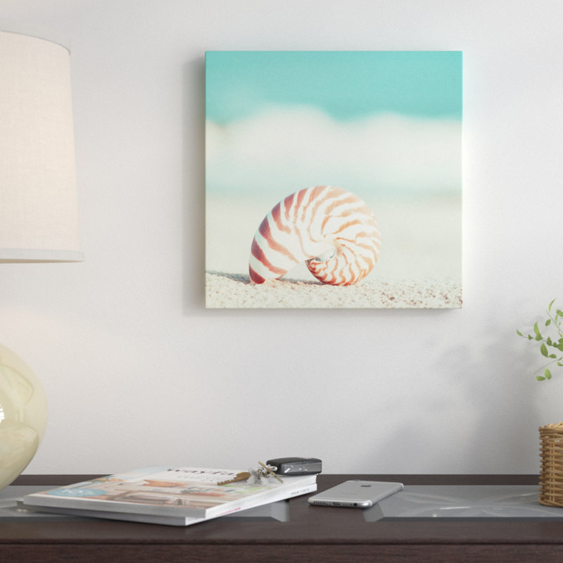 Nautilus, reproduction de photo sur toile tendue, H 37 po x l 37 po x P 1,5 po, Toile avec cadre noir, Pas de tapis
