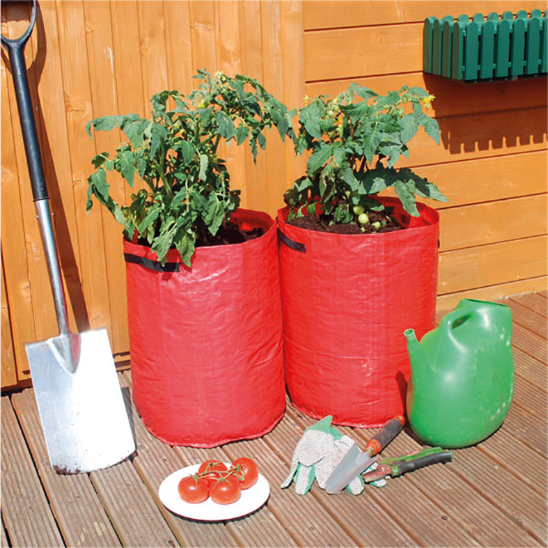St. Helens Home & Garden Growing Kit