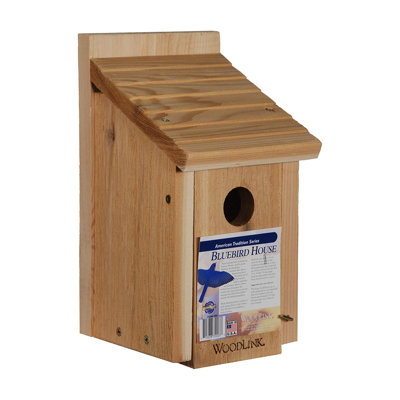 Maison d'oiseaux Woodbird