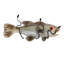 Metro Fusion 2 - Light Flush Mounted Sconce