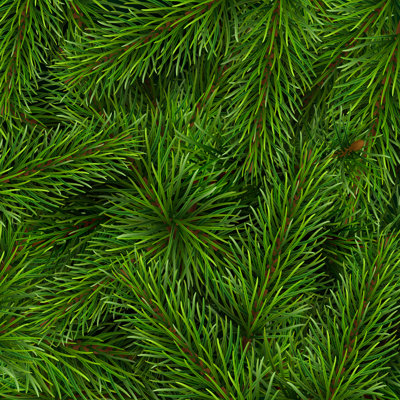 Arbre de Noël, impression sur toile tendue