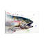 «Fish II», reproduction d'art encadrée-52359678-52359679
