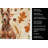 Red Doberman Pinscher Heirloom Fall Kitchen Towel-1218231323