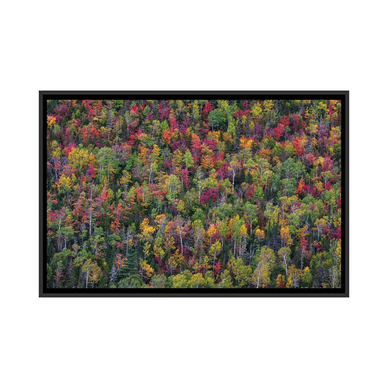Colour Palette by Miroslaw - Floater Frame Print on Canvas