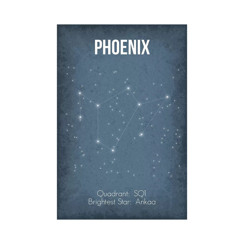 Phoenix 1 Piece Wrapped Canvas Wall Art, 20.32 cm H x 30.48 cm W
