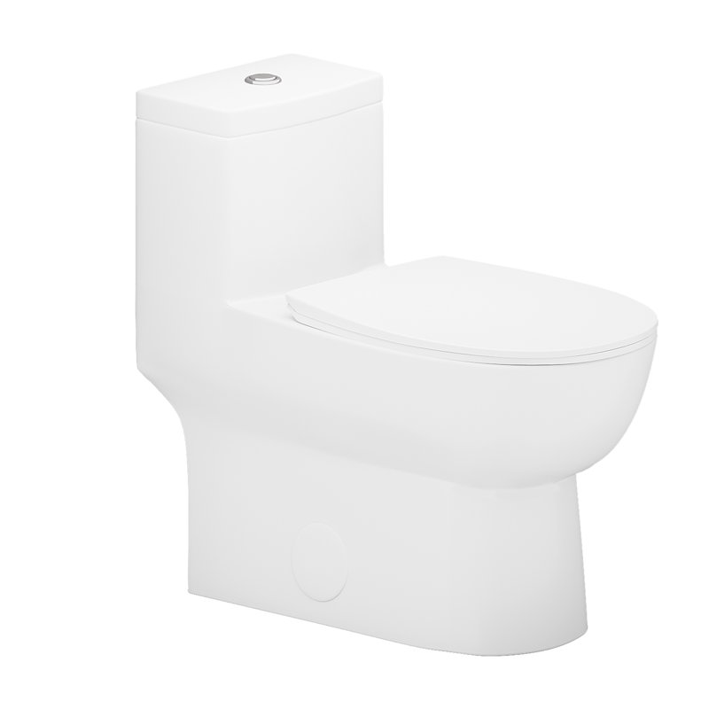 Toilette une pièce à double chasse