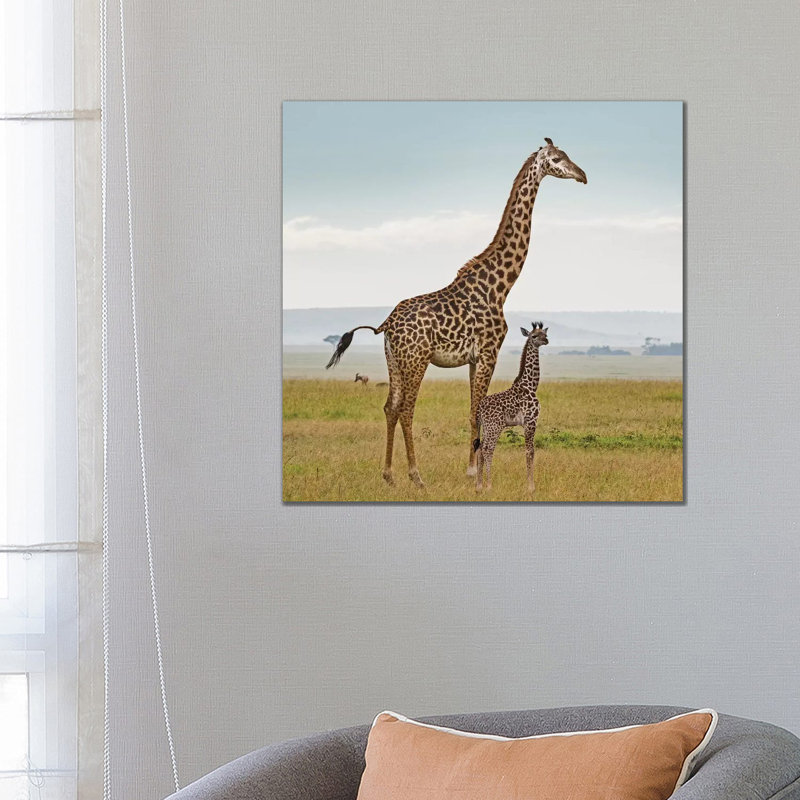 Colour Giraffe & Calf by Klaus Tiedge - Print on Canvas, 66.04 cm H x 66.04 cm W x 1.91 cm D, Wrapped Canvas