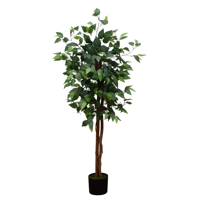 Artificial Double Trunk Ficus Tree, 48" H x 28" W x 20" D