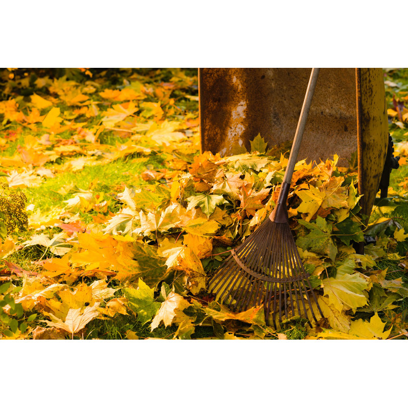 «Leaf Pile and Rake» par Jarih - photographie sur toile tendue, L 12 po x H 8 po