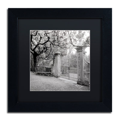 Alan Blaustein " Firenze I " by Alan Blaustein