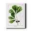 Chêne blanc - impression sur toile tendue-31389809